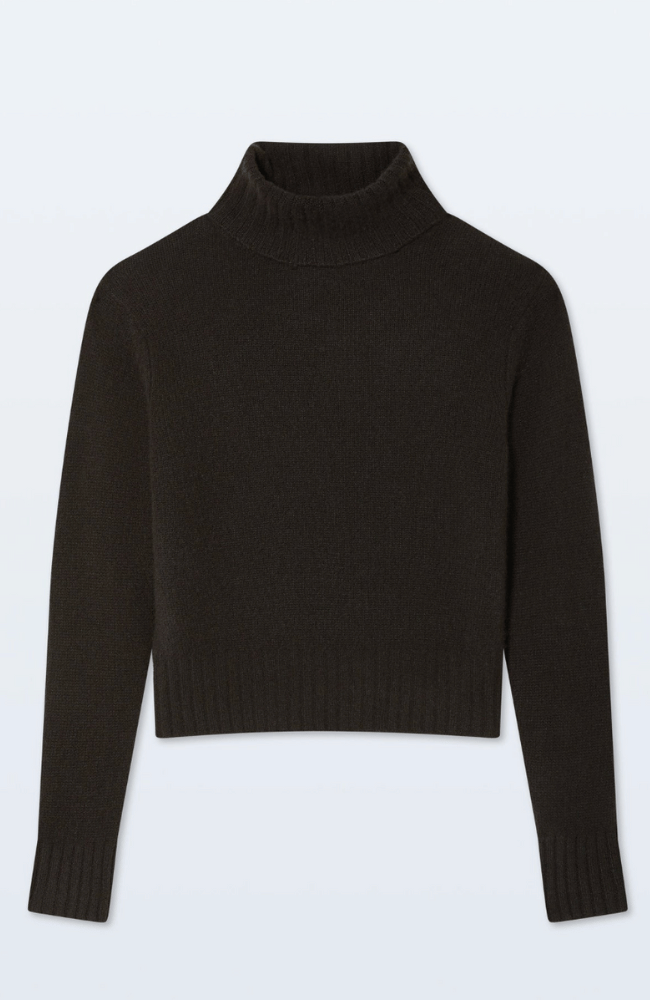 CASHMERE FEATHERWEIGHT TURTLENECK in DARK UMBER-WHITE and WARREN-FLOW by nicole
