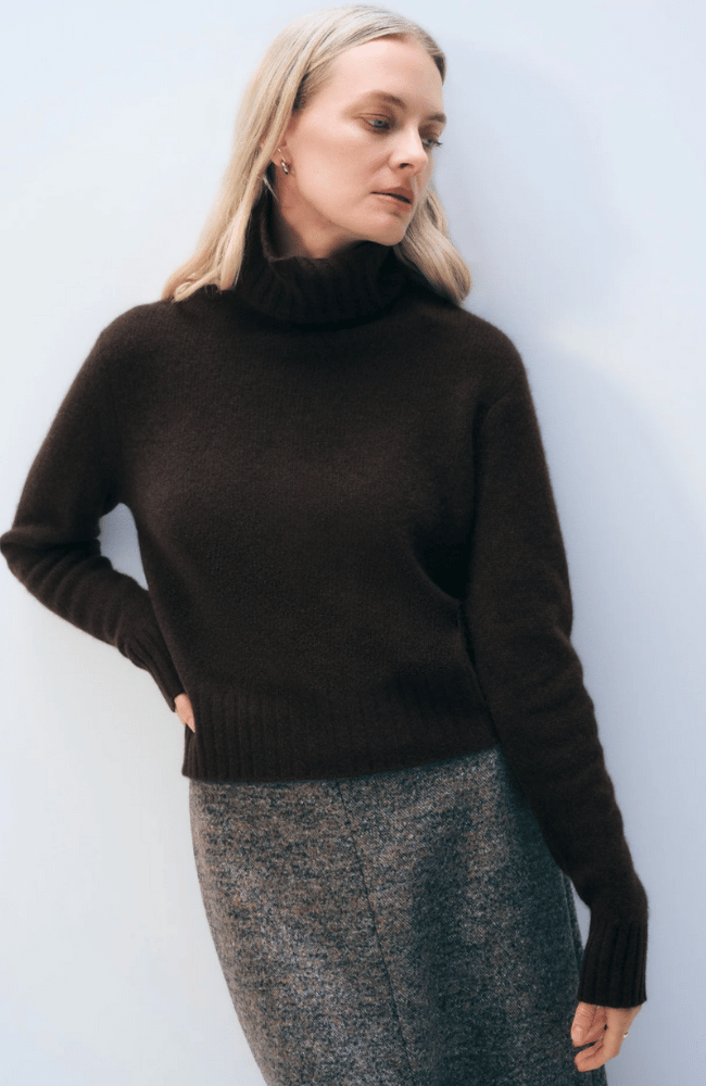 CASHMERE FEATHERWEIGHT TURTLENECK in DARK UMBER-WHITE and WARREN-FLOW by nicole