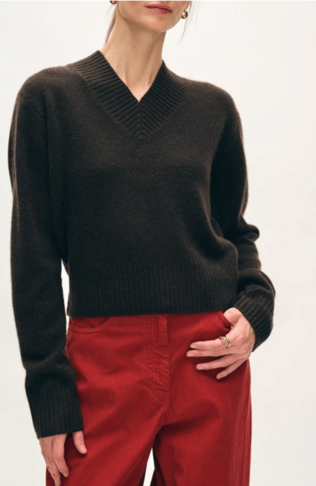 CASHMERE RIB V NECK SWEATER in DARK UMBER BROWN-WHITE and WARREN-FLOW by nicole