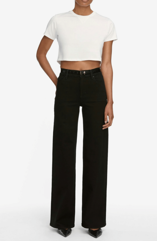 LE SLIM PALAZZO in BLACK-FRAME-FLOW by nicole