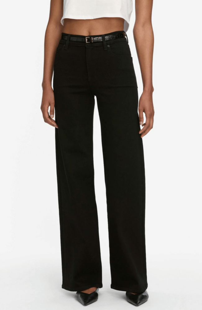 LE SLIM PALAZZO JEAN in BLACK-FRAME-FLOW BY NICOLE CANADA